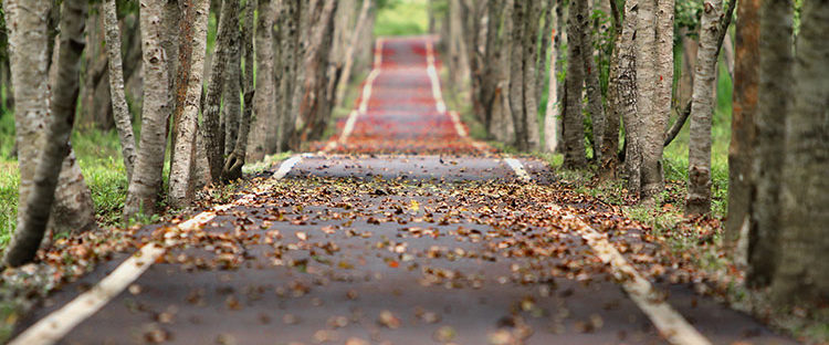 Sober house road to recovery in Boston Massachusetts