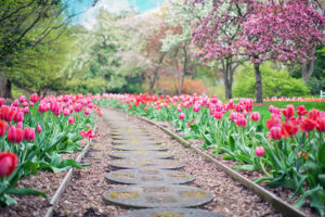 sober living home backyard path to recovery