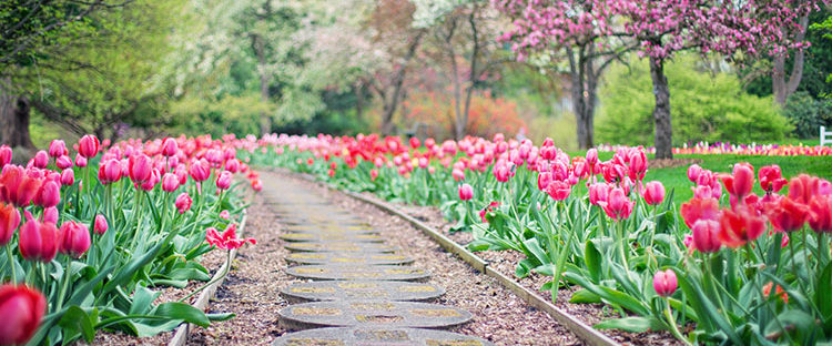 sober living home backyard path to recovery