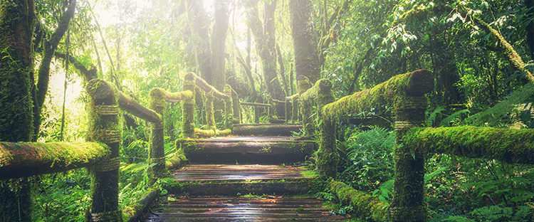 Bride to addiction treatment Boston Massachusetts