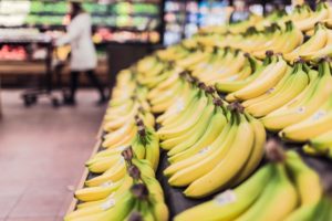 Bananas for Sober Living in Boston Massachusetts